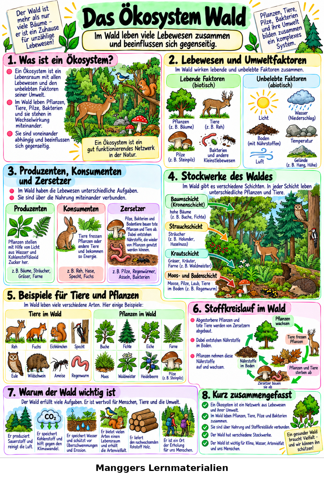 Lernblatt: Das Ökosystem Wald