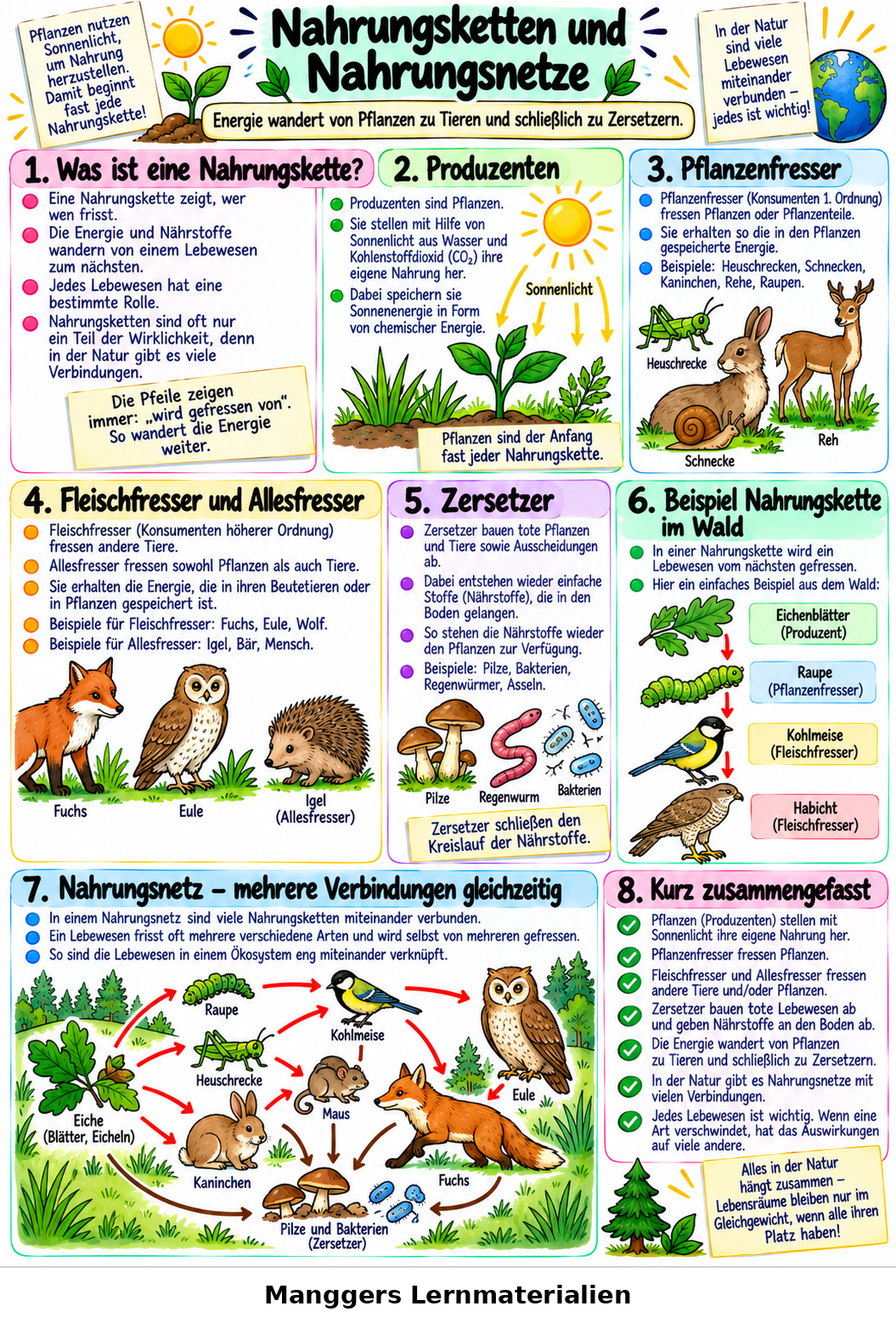 Lernblatt: Nahrungsketten und Nahrungsnetze