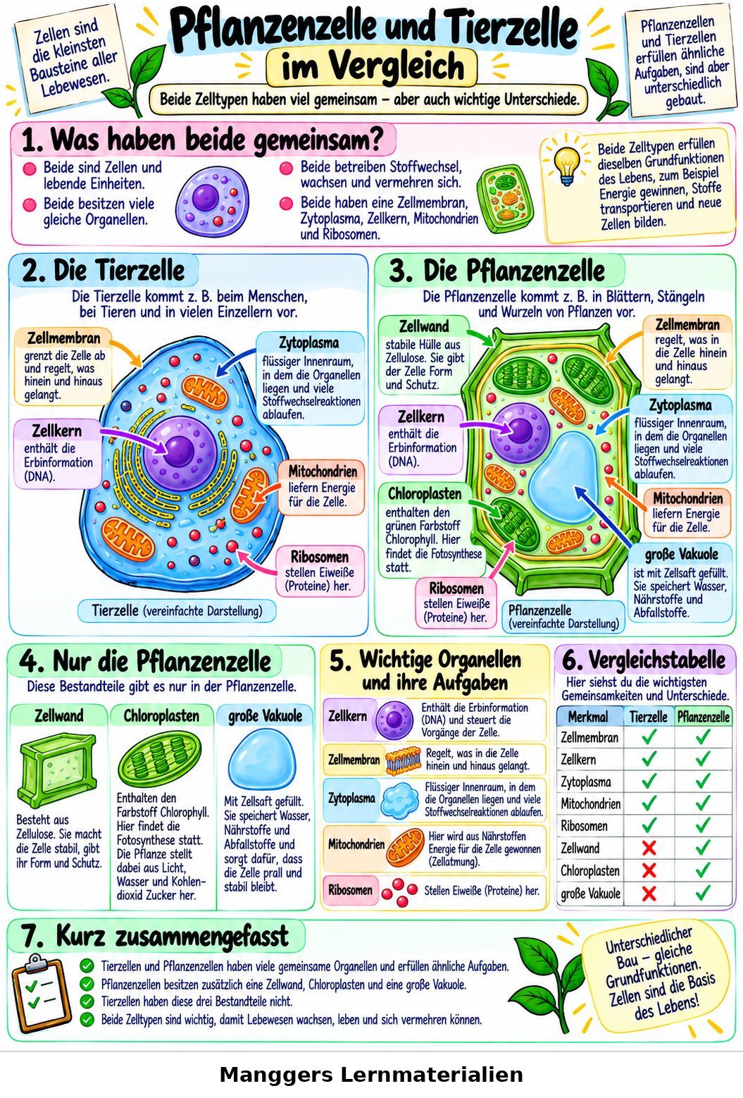 Lernblatt: Pflanzenzelle und Tierzelle im Vergleich
